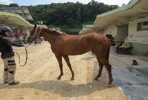 ī�п��� (CHARON EDGE) ����