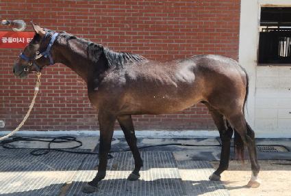 ��ġ�� ����