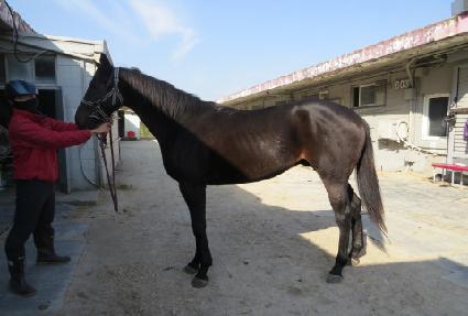 ������ ����