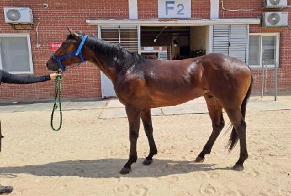 ĸƾ������ ����