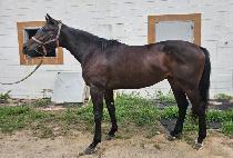 ��ġ��ī�� (RICH SKY) ����