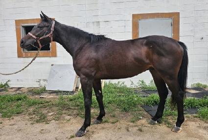 ��ġ��ī�� ����