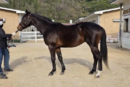 Ÿ�̰Ÿ��� ����