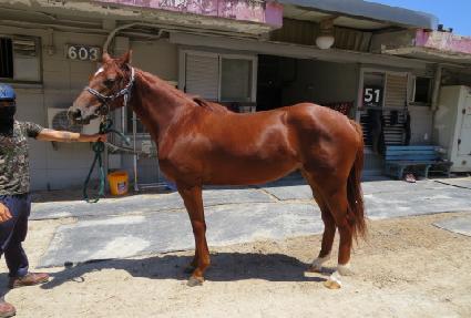 Ÿ�̰ź��� ����