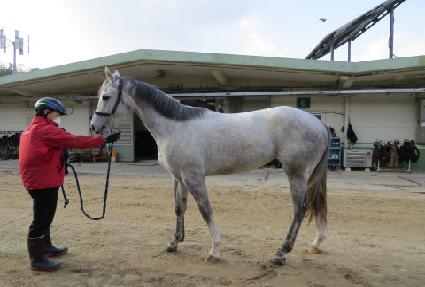 ����Ÿ�̰� ����