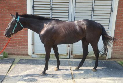 ȭ���ѺҺ� ����