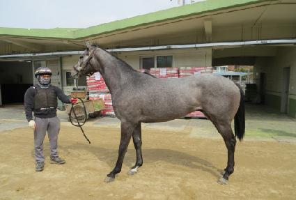 ũ���ֽ���Ʈ ����