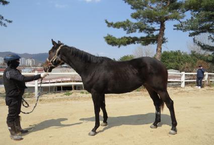 ����� ����