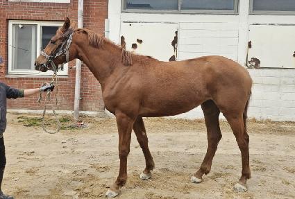 ������Ʈ�� ����