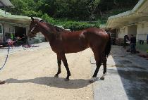 ���극�̺� (JISAN LABEL) ����