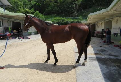 ���극�̺� ����