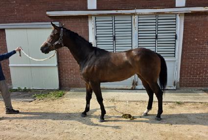 �ϴþƸ� ����