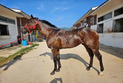 ȭ������ ����