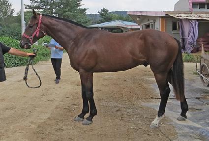 ����� ����