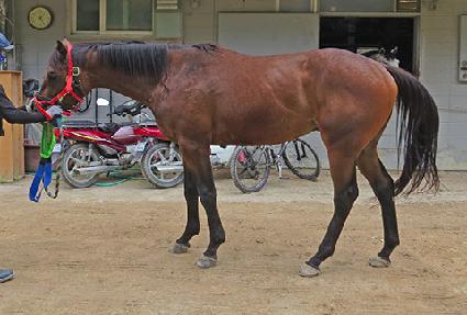 ��Źê ����