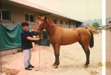 ��ǳ ����