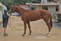 ����ĭ (OHRA KHAN) ����