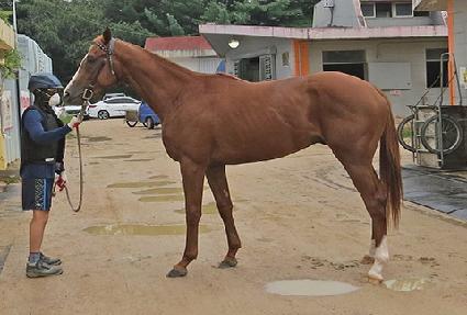 ����ĭ ����