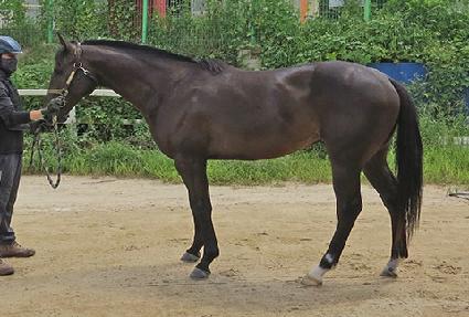 �̽�Ʈ����Ʈ ����