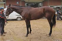 �ݱ� (COLGIN) ����