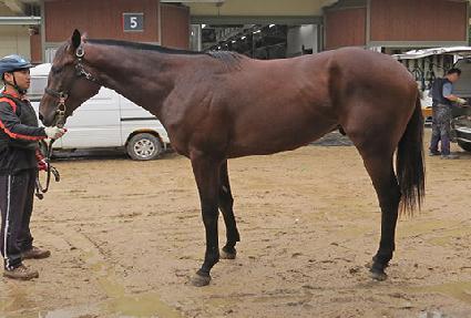 �ݱ� ����