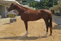 �����ְ� (GEOLJAK CHOEGANG) ����