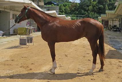 �����ְ� ����