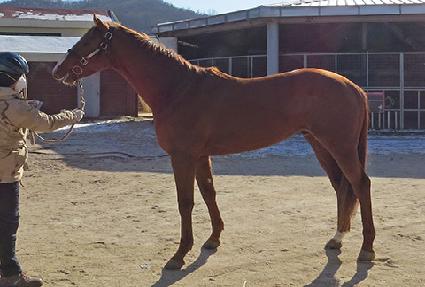 �ְ����� ����