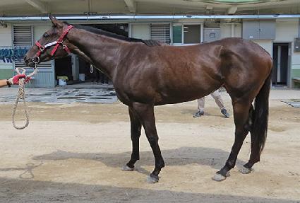 ������帲 ����