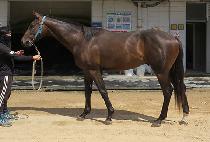 ��ī���� (FAIR SKIES) ����