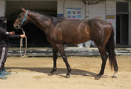 ��ī���� ����