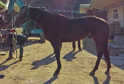 ������ ����