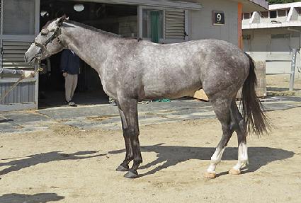 �׷������� ����