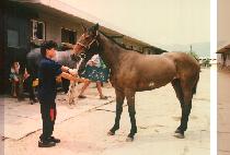 ���ɿ� (DONG SIM WEUN) ����