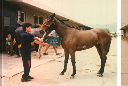 ���ɿ� ����