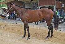 Ƽ������ (TINA K) ����