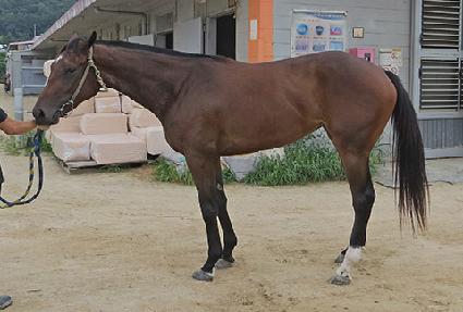 �ͺ��轺 ����