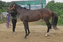 �ҿ��Ʈ (SOUL BEAT) ����