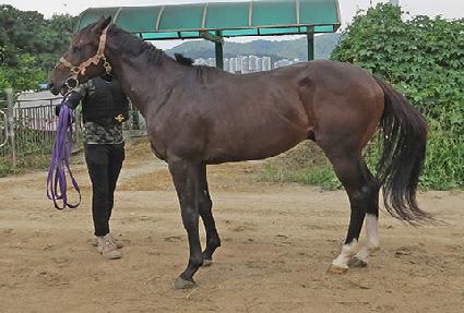 �ҿ��Ʈ ����