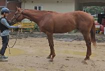 ���Ķ� (SAEPARANG) ����