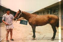 ǥ���� (PYO JEUK JI) ����