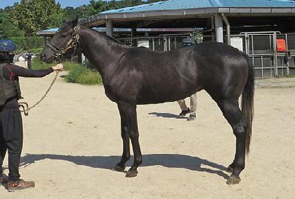 �������� ����