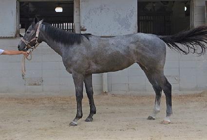 �۷ι�Ŭ���� ����