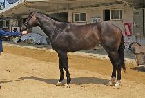 ���ø�Ʈ��Ʈ (COMPLETE HEART) ����