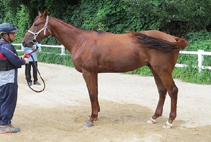 ������ ����