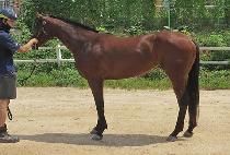 ����ŷ���丮 (MAKING STORY) ����