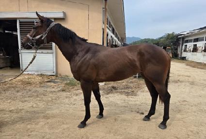 �������� ����