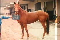 �Ƕ��� (SIL RAK WEUN) ����