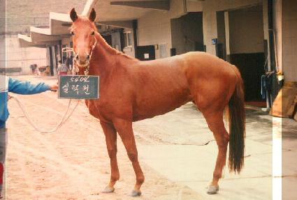 �Ƕ��� ����