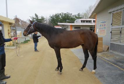 ����Ƽ��Ʈ ����